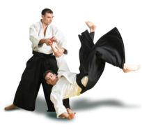 sport & Aikido free transparent png image.