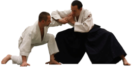 sport & Aikido free transparent png image.