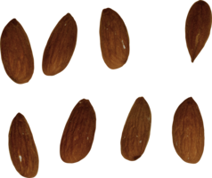 fruits & Almond free transparent png image.