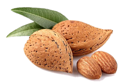 fruits & Almond free transparent png image.