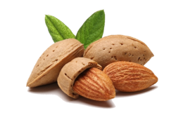 fruits & Almond free transparent png image.