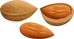 fruits & almond free transparent png image.