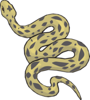 animals&Anaconda png image.