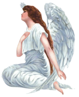 fantasy & angel free transparent png image.