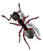 insects & Ants free transparent png image.