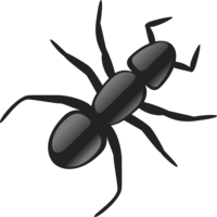 insects & ants free transparent png image.