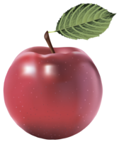 fruits & Apple free transparent png image.