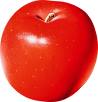 fruits & Apple free transparent png image.