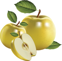 fruits & apple free transparent png image.