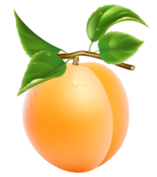 fruits & apricot free transparent png image.