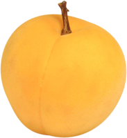 fruits & Apricot free transparent png image.