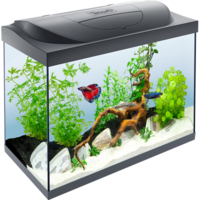 furniture & aquarium free transparent png image.