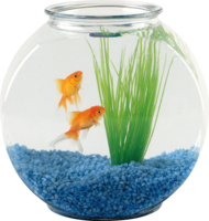 furniture & aquarium free transparent png image.