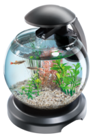 furniture & aquarium free transparent png image.