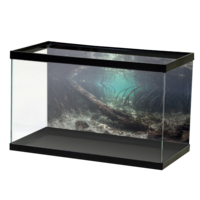 furniture & aquarium free transparent png image.