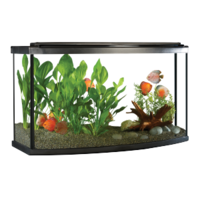 furniture & Aquarium free transparent png image.