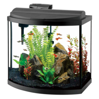 furniture & Aquarium free transparent png image.