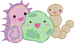 miscellaneous & Bacteria free transparent png image.