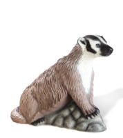 animals & Badger free transparent png image.