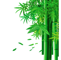 nature & Bamboo free transparent png image.