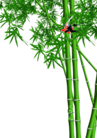 nature & Bamboo free transparent png image.