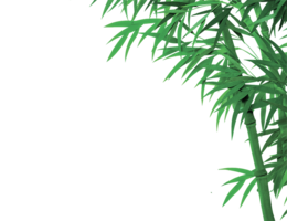 nature & Bamboo free transparent png image.