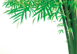 nature & Bamboo free transparent png image.