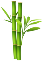 nature & Bamboo free transparent png image.