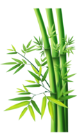 nature & Bamboo free transparent png image.