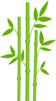 nature & Bamboo free transparent png image.