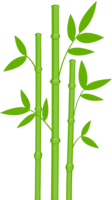 nature & Bamboo free transparent png image.