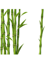 nature & Bamboo free transparent png image.