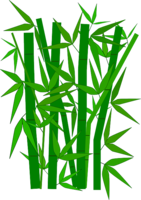 nature & Bamboo free transparent png image.