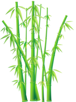 nature & Bamboo free transparent png image.