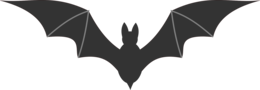 animals & Bat free transparent png image.