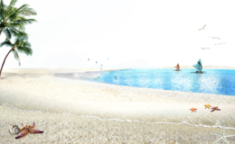 nature & beach free transparent png image.