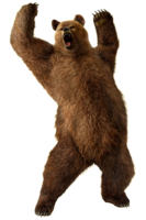 animals & bear free transparent png image.