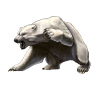 animals & bear free transparent png image.