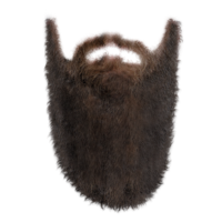 people&Beard png image.