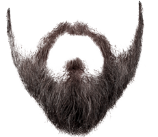 people & beard free transparent png image.