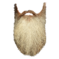 people & Beard free transparent png image.