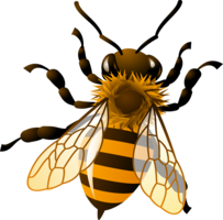 insects & bee free transparent png image.