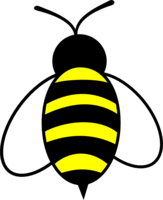 insects & bee free transparent png image.