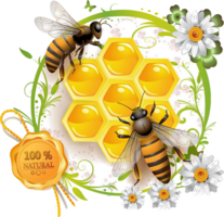 insects & Bee free transparent png image.