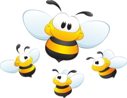 insects & Bee free transparent png image.