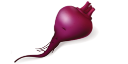 vegetables & beet free transparent png image.