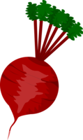 vegetables & beet free transparent png image.