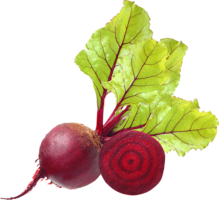 vegetables & beet free transparent png image.