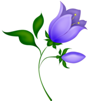 flowers & Bellflower free transparent png image.