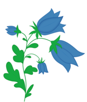 flowers & Bellflower free transparent png image.